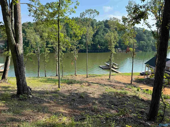 County Road 594, Leesburg, AL 35983