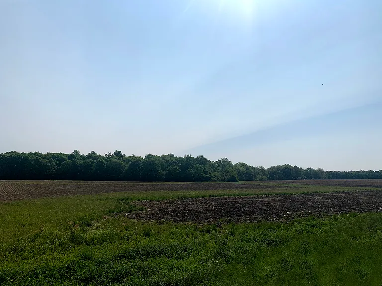 Avalon Bluffs — Photo 42