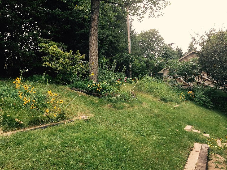 Native and grass mix