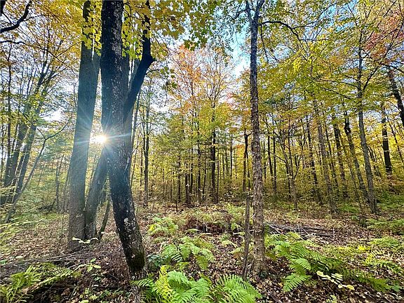 5th image of lot 2(8.92 Acres) 24th Avenue