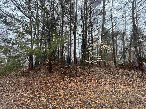 Sarle Rd, Freeland, MI 48623