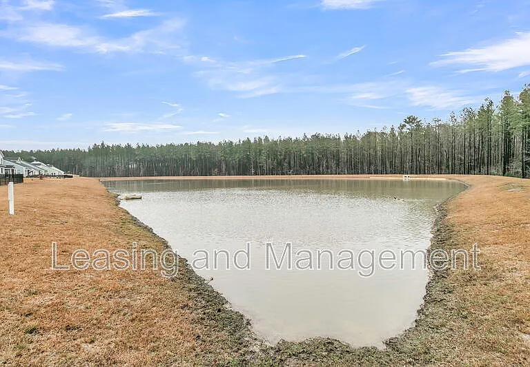 245 Summer Tanager Dr — Photo 23