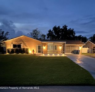 11469 Tuscanny Ave, Spring Hill, FL, 34608