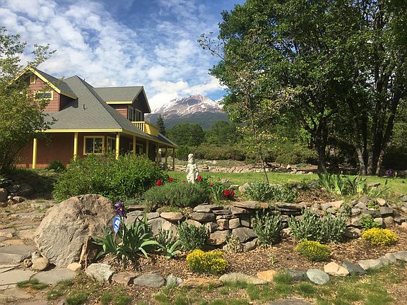 beautiful yellow bouquet wild flower all over the back and with tall purple flowers that come up June/july