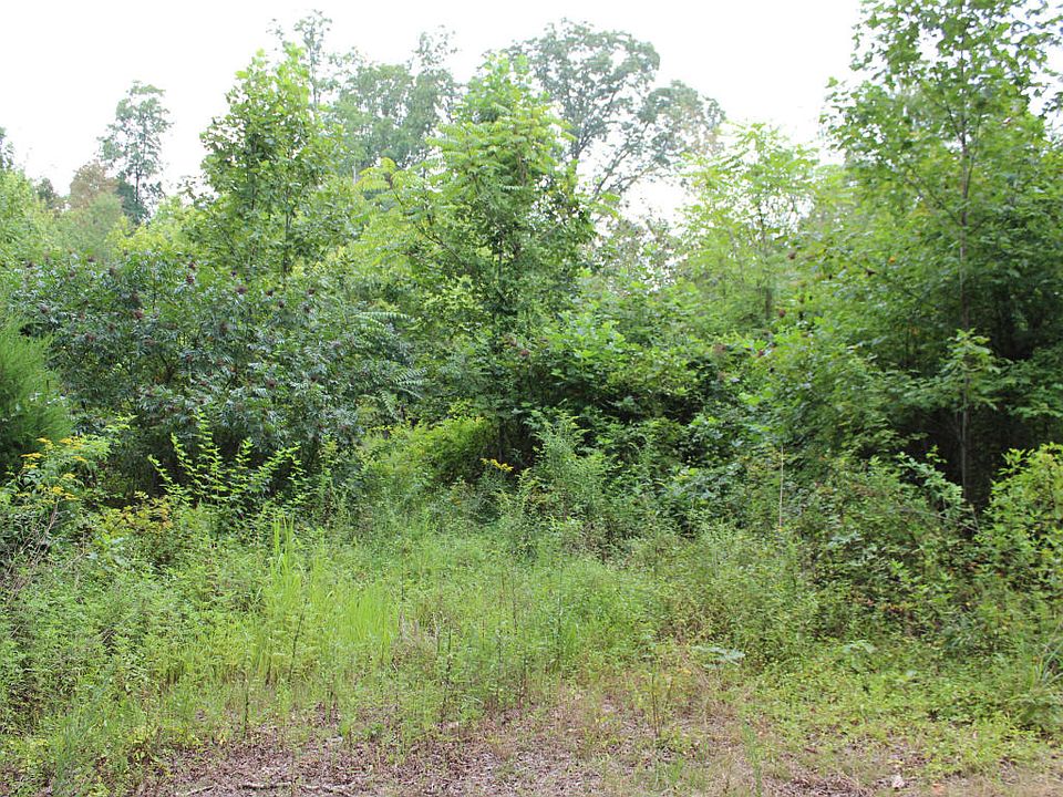 2nd image of 383 Sequoyah Rd
