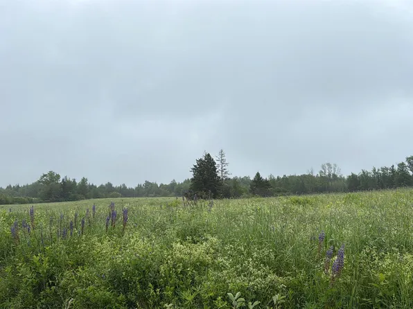 Wallie Mingo Rd, Colchester, NS B0K 1V0
