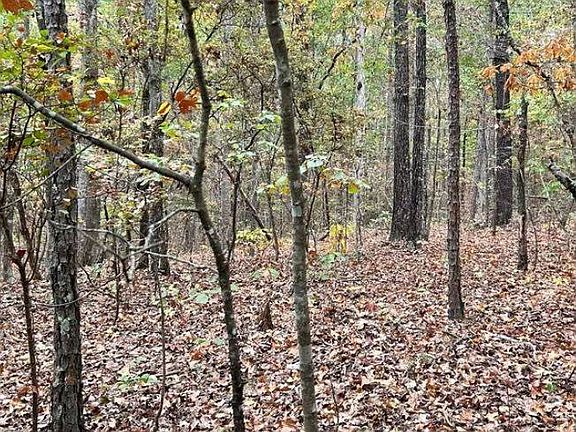 4th image of 0 Buck Jackson Road New Church Rd