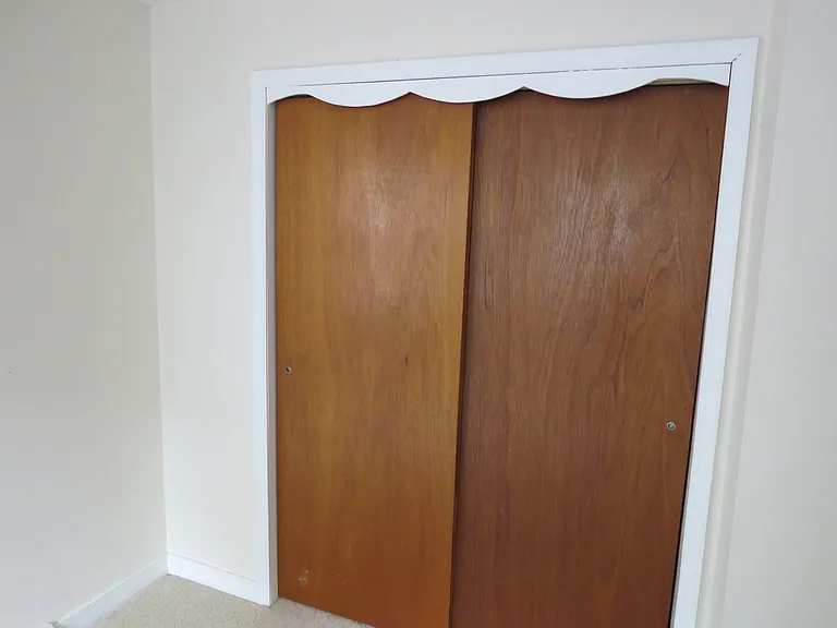 245 Swan View Dr — Photo 21