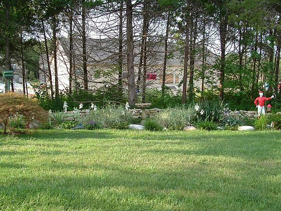 tree-lined garden view