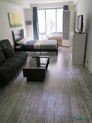 Rented by Property Link Mgmt, LLC | media 20