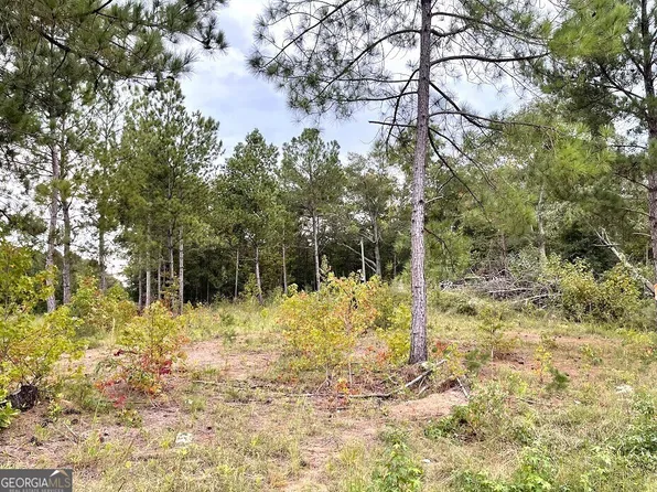 384 Cherokee Dr, Bowman, GA 30624