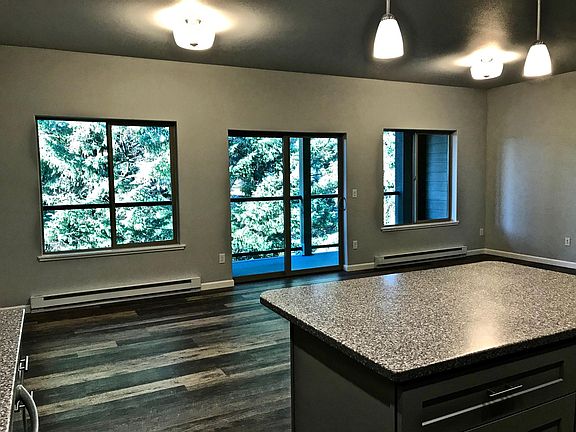 From kitchen toward deck overlooking trees, Mendenhall River, hiking trail, bridge