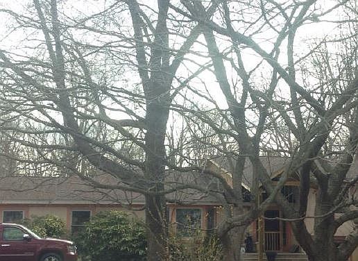 1st image of 4275 Padgett Dr