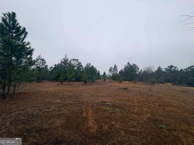 0 Hilltop Rd NE, Baxley, GA, 31513