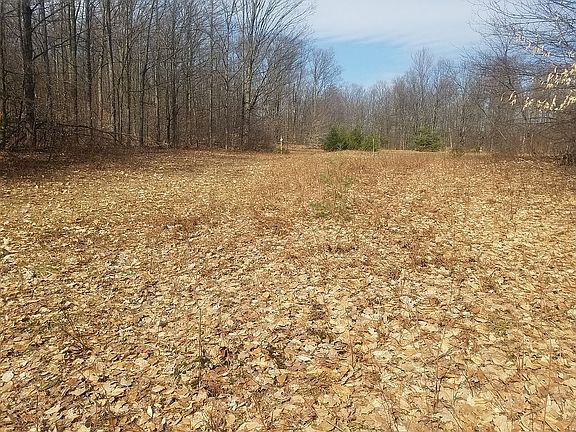 2nd image of Pinedale Dr