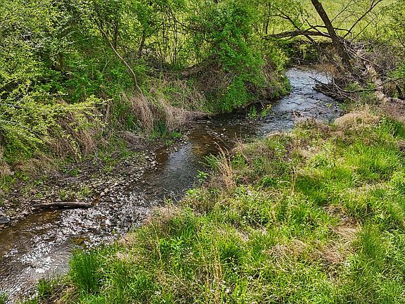 2nd image of 11438 County Road 91