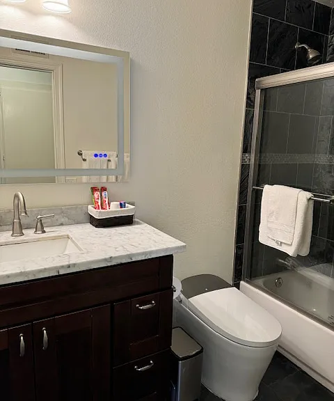 Hallway restroom to be shared with the other hallway bedroom tenant( male student of UCSD). New bidet toilet. LED vanity mirror.