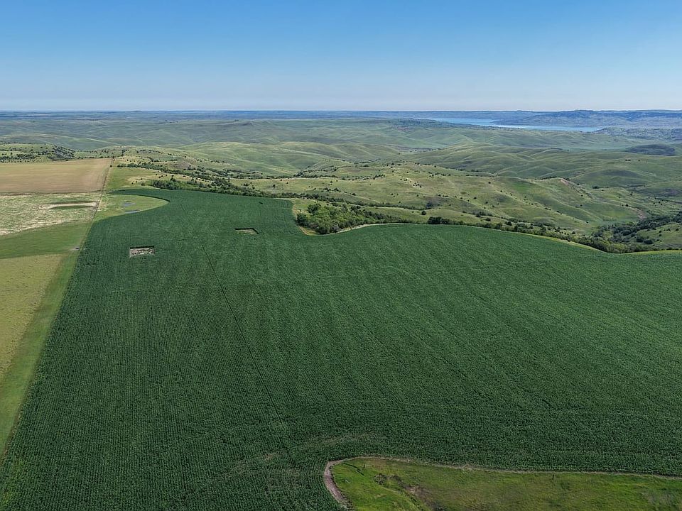 Dji Fly 20260710 090026 0085 1783781925314 Photo