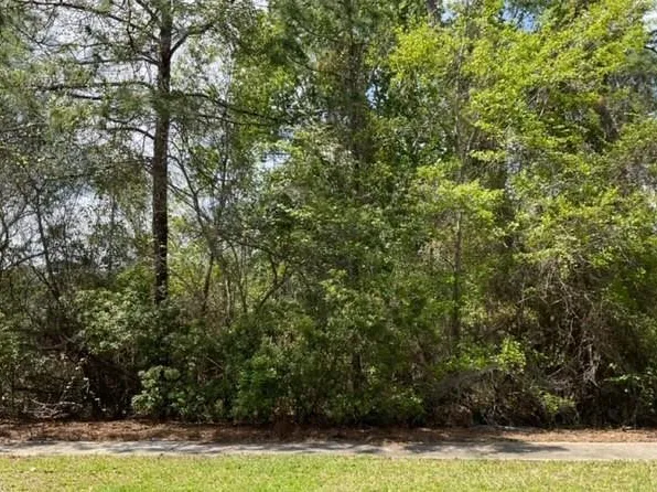 0 Charleston Way, Saint Marys, GA 31558