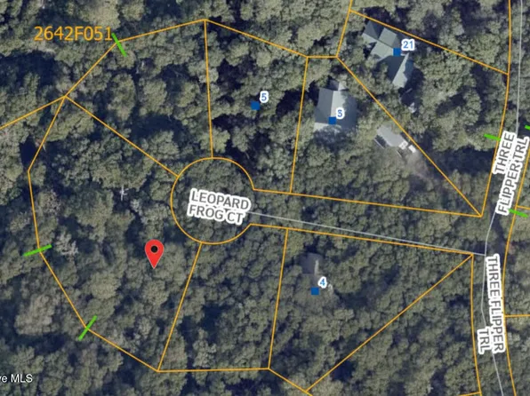 8 Leopard Frog Ct #18, Bald Head Island, NC 28461
