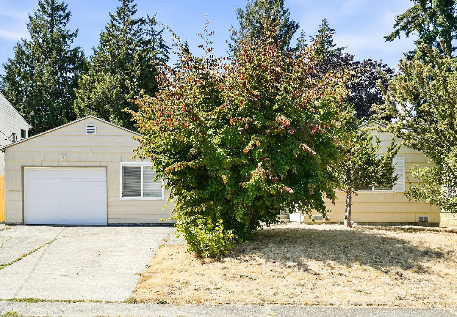 Charming Shoreline Rambler With Large Backyard & Garage- Available Now- For Rent — Photo 2