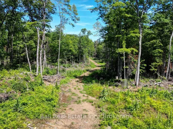 691 Bush Rd, North Kawartha, ON K0L 1P0