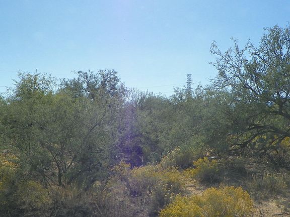 5th image of 16855 S Horse Hollow Trl #4