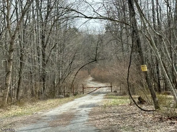 25 Twin Brook Rd, Montague Twp., NJ 07827