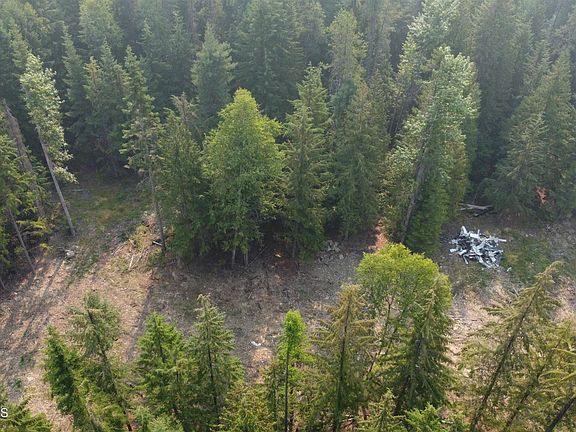 5th image of Nna Brown Bear Dr