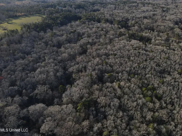 63 Clem Rd, Mount Olive, MS 39119