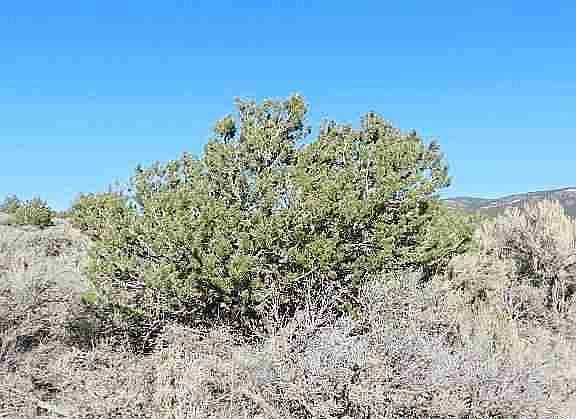 3rd image of 21662 Rito Seco Rd
