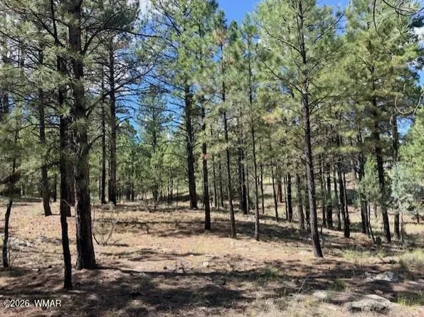 5177 Starlight Dr, Happy Jack, AZ 86024