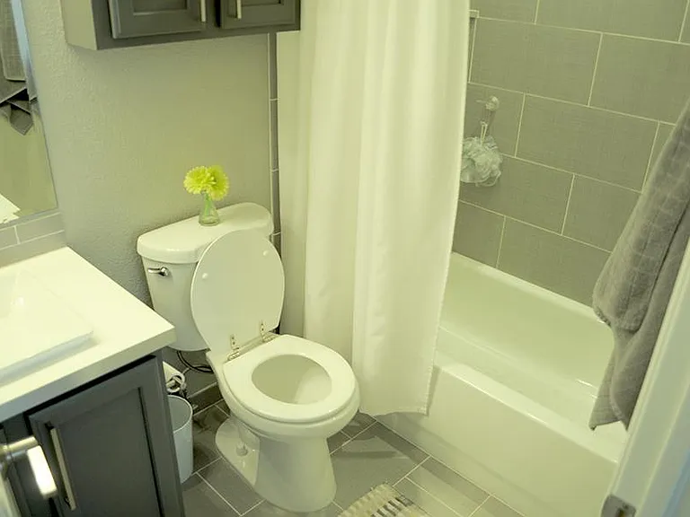 Master bath