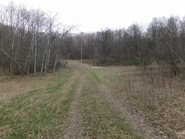 880 Judy Trl, Harrison, MI 48625