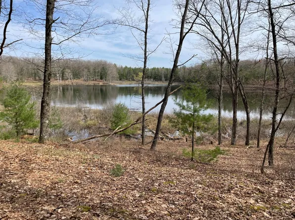 6194 N Sunshine Dr, Irons, MI 49644