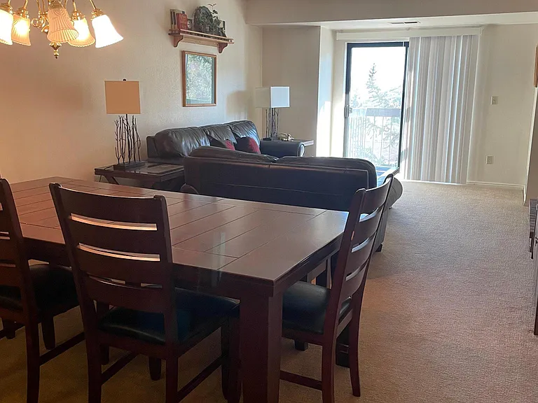 50 Shadow Ridge Rd #4313 — Photo 15
