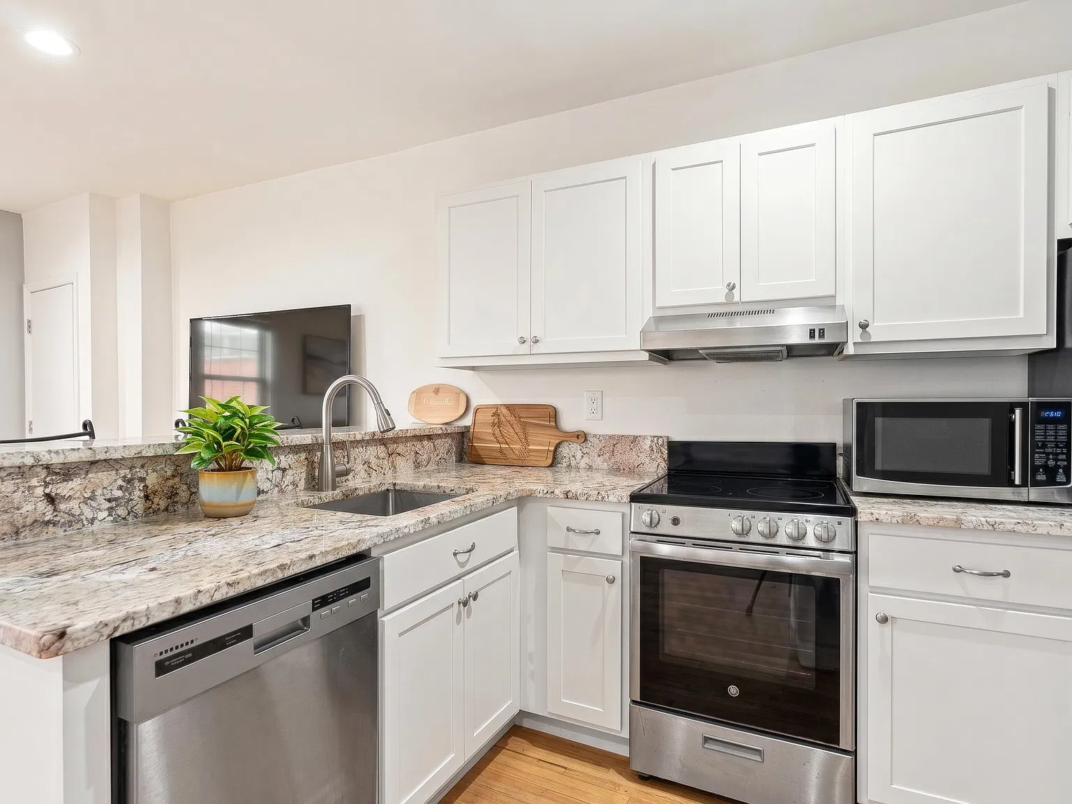 2 bed, 1.0 bath, 605 sqft, $3,300 — Photo 4