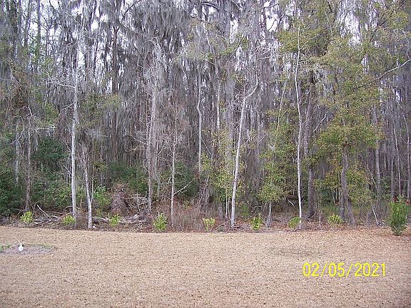 View from rear porch