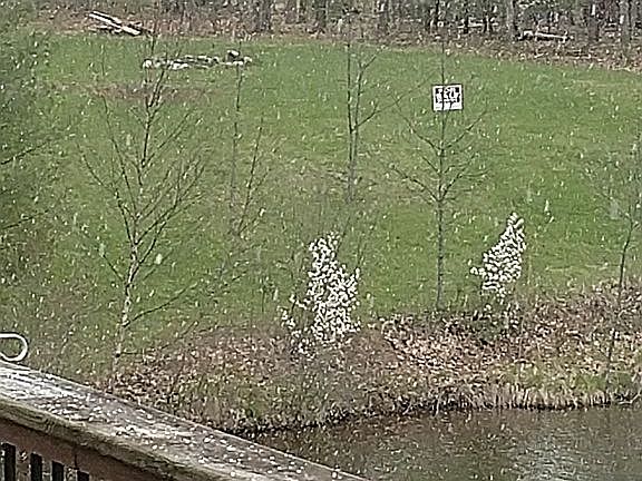 4th image of 3511 W Point Dr