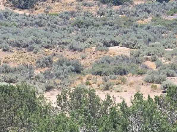 0 Close To Las Flores Rd, Hesperia, CA 92345