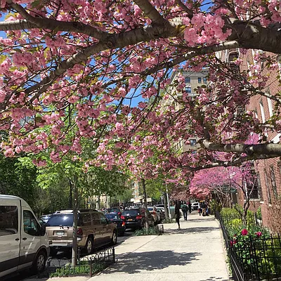 Rented by Suzanne J. Forrester Real Estate Brokerage LLC | media 28