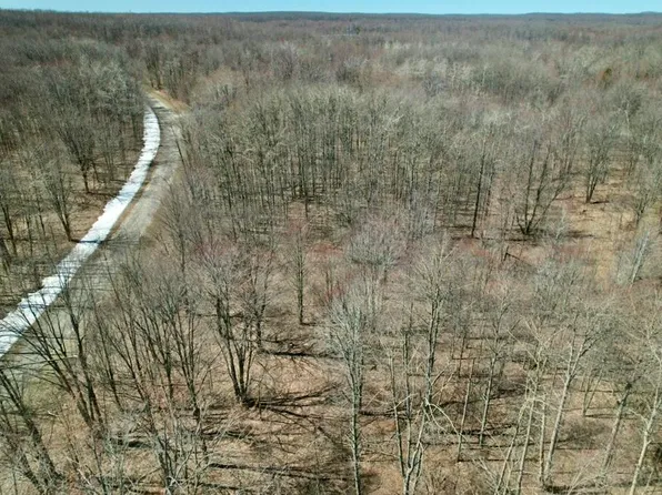 363 Wyndwood Dr, Mancelona, MI 49659