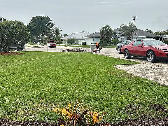 Front yard, street view