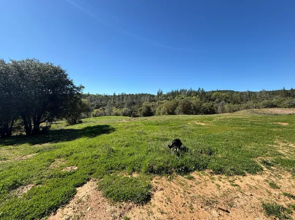 0 Greenbush Rd, Forbestown, CA 95941