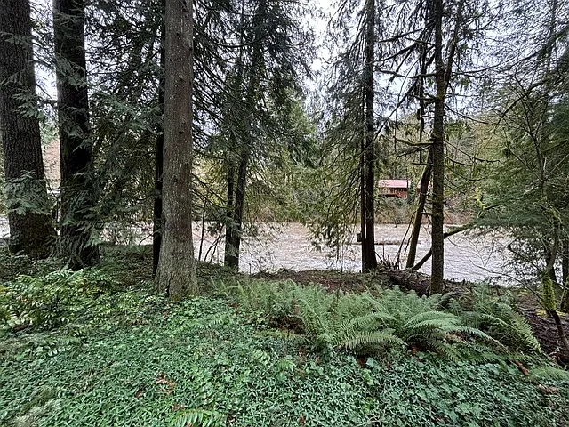 2 bed, 1200 sqft, $2,000 — Photo 2