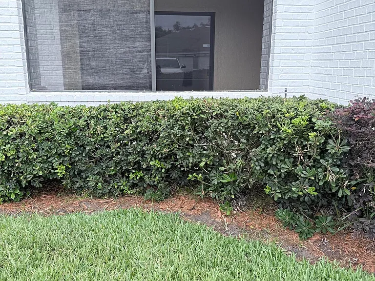 425 Timberwalk Ct #1116 — Photo 14