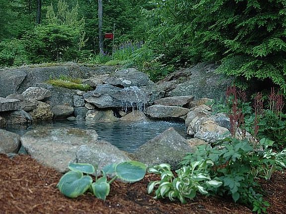Hear the water, see the pond just outside the windoe