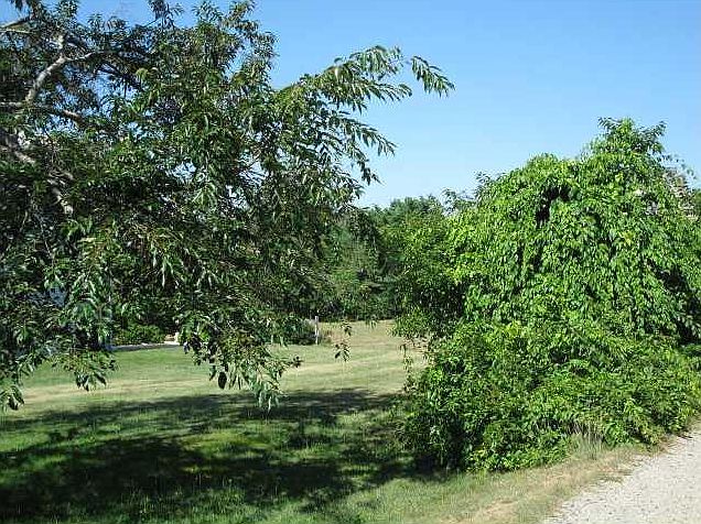 2nd image of Lot A Prescott Lane