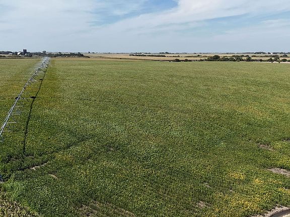 18601-york-county-ne-199-acres (3)