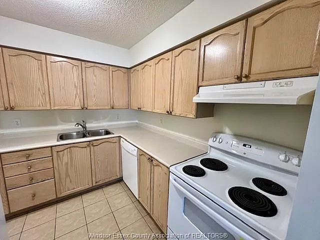 1160 Lauzon Rd #206 — Photo 10